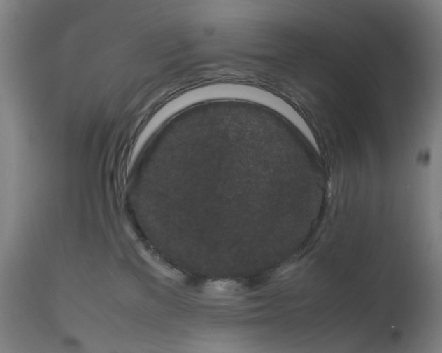 X0000111190137200907151358