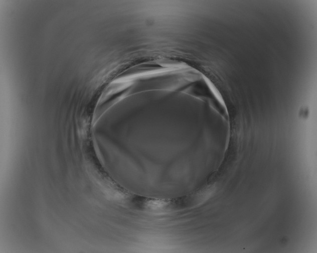 X0000111190139200907151358