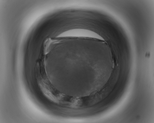 X0000111190143200907151358