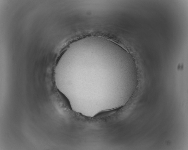 X0000111190144200907151358