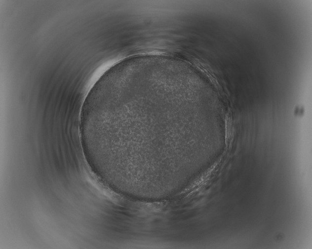 X0000111190147200907151357