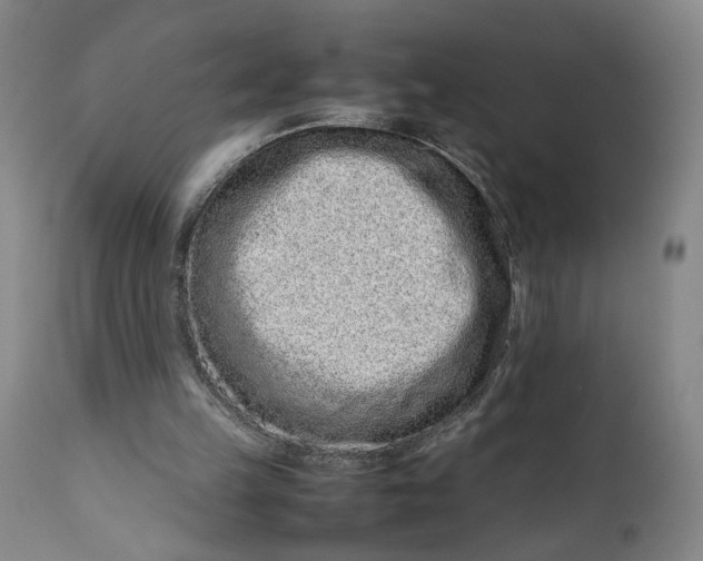 X0000111190149200907151357