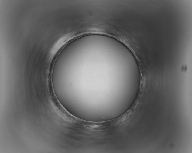 X0000111190151200907151357