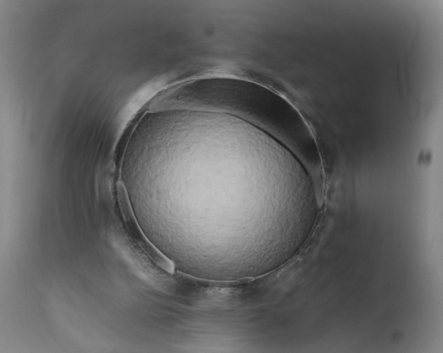 X0000111190152200907151357