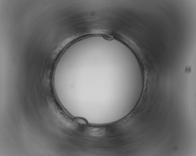 X0000111190155200907151358