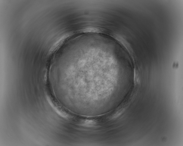 X0000111190157200907151358