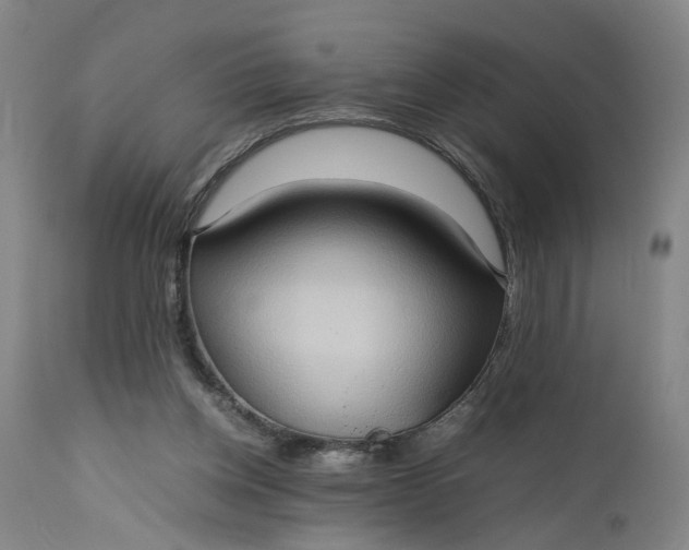 X0000111190158200907151358