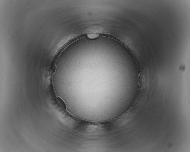 X0000111190160200907151358