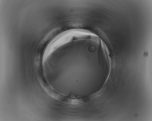 X0000111190163200907151358