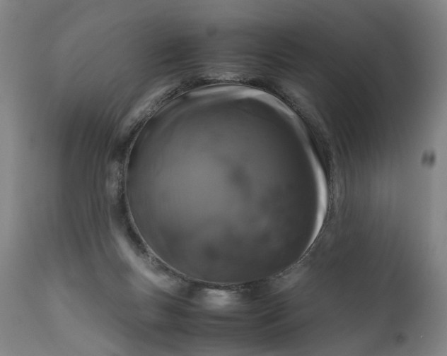 X0000111190167200907151358