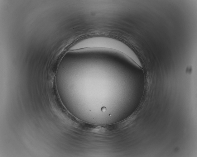 X0000111190168200907151358