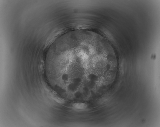 X0000111190169200907151358