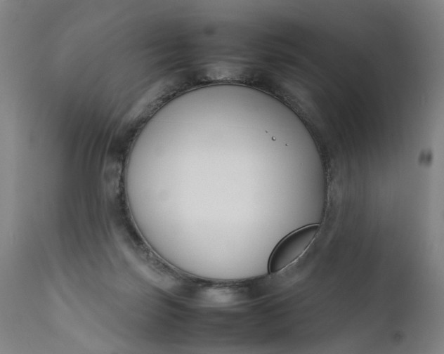 X0000111190171200907151358