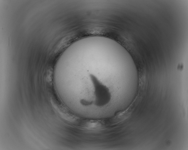 X0000111190175200907151358