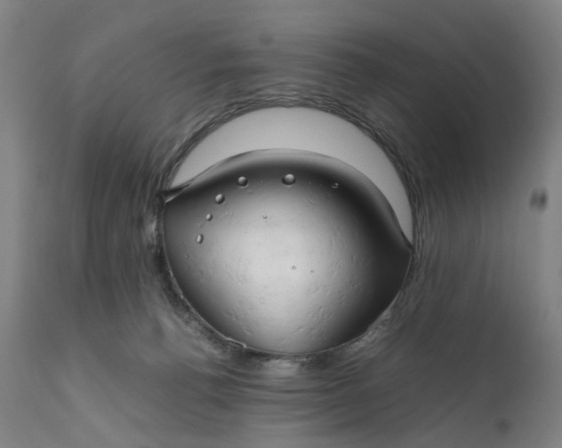 X0000111190176200907151358