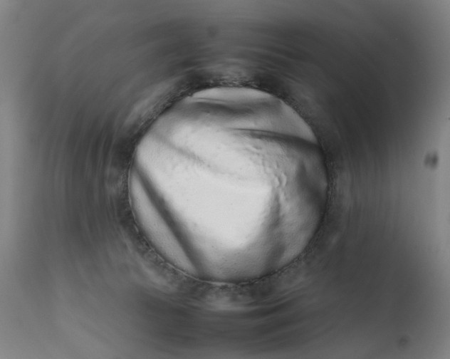 X0000111190177200907151358