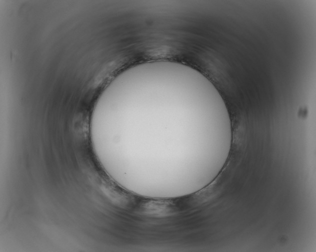 X0000111190179200907151358