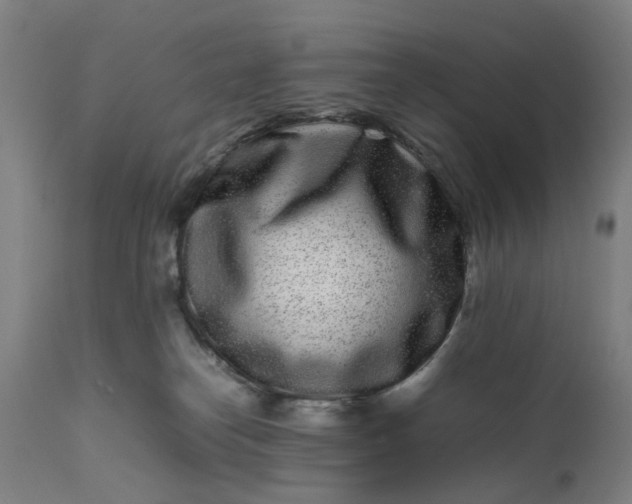 X0000111190182200907151358