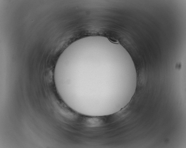 X0000111190183200907151358