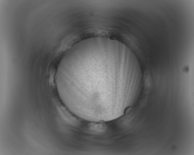 X0000111190185200907151358