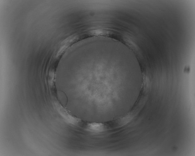 X0000111190189200907151358