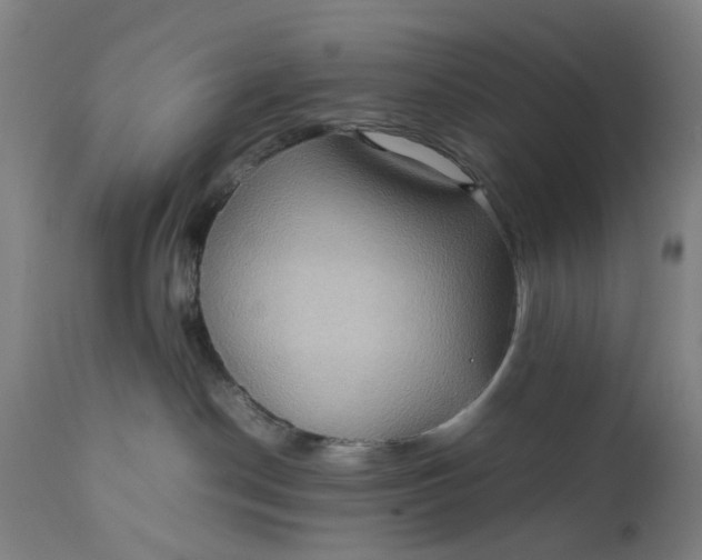 X0000111190190200907151358