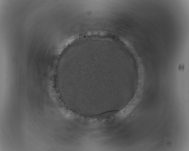 X0000111190192200907151358