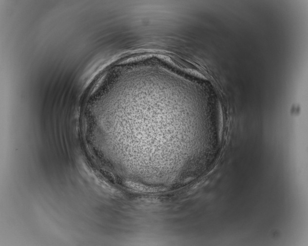 X0000111190194200907151357