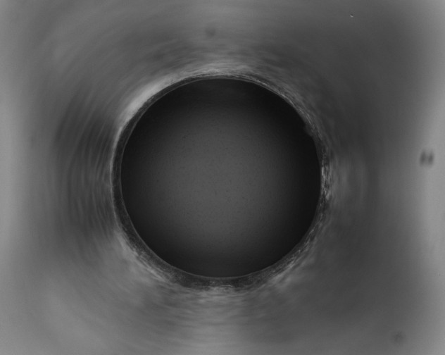 X0000111190196200907151357