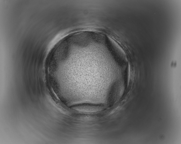 X0000111190198200907151357