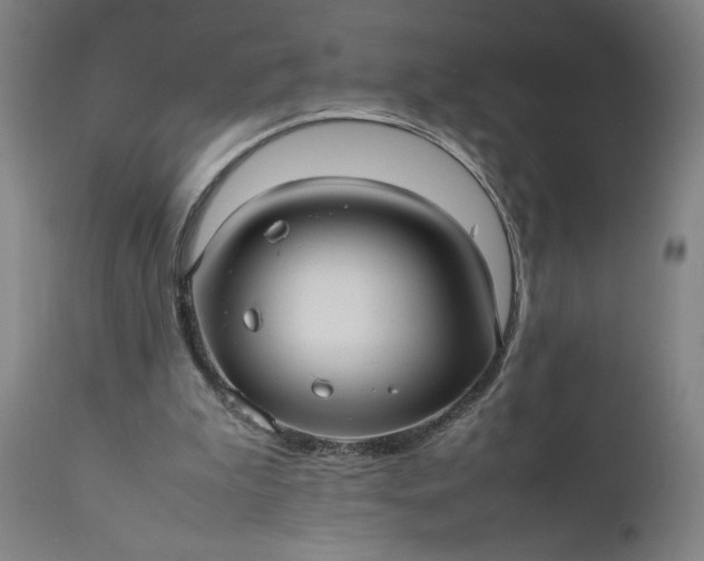 X0000111190199200907151357