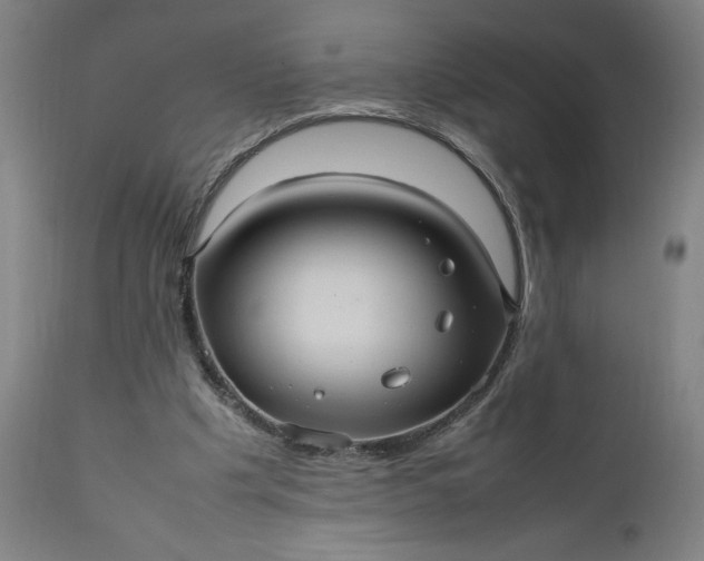 X0000111190201200907151357