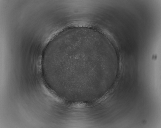 X0000111190202200907151357