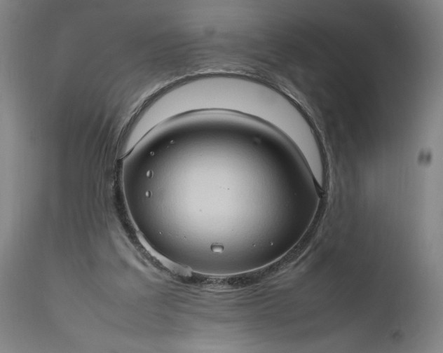 X0000111190203200907151357