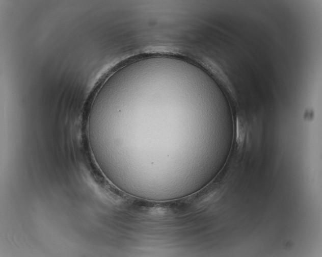 X0000111190204200907151357