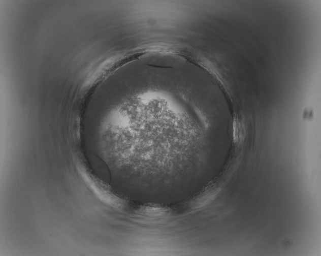 X0000111190205200907151357