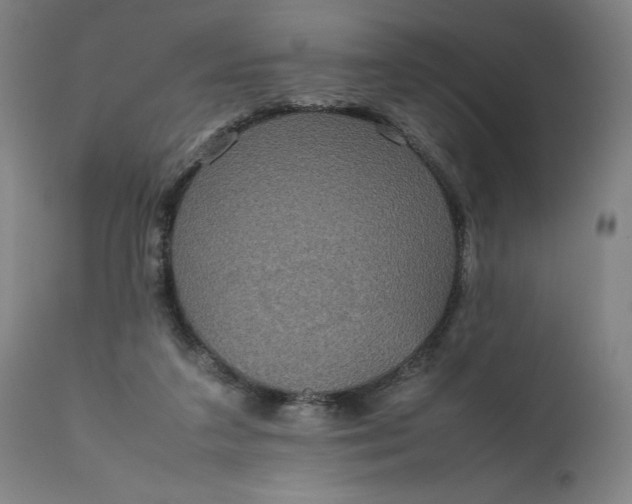 X0000111190211200907151357