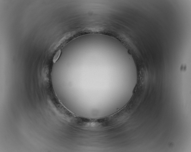 X0000111190212200907151357