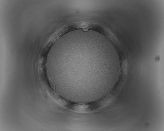 X0000111190217200907151357