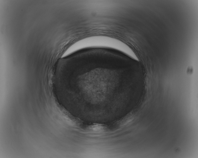 X0000111190219200907151357