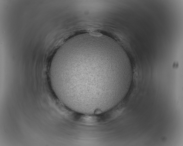 X0000111190221200907151357