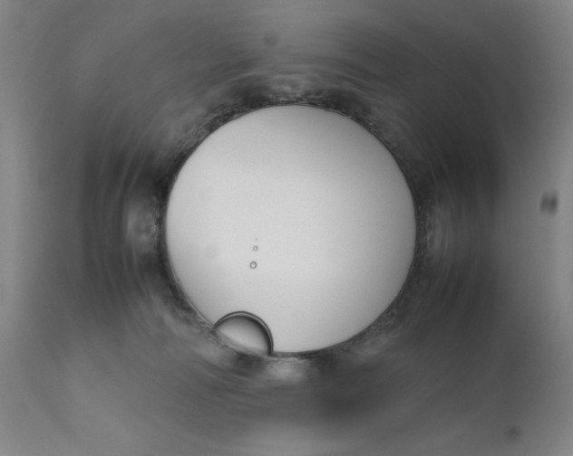 X0000111190226200907151357