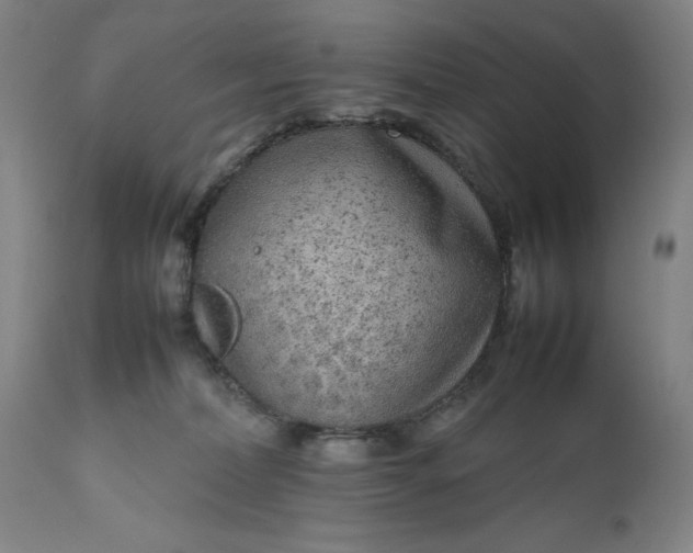 X0000111190228200907151357