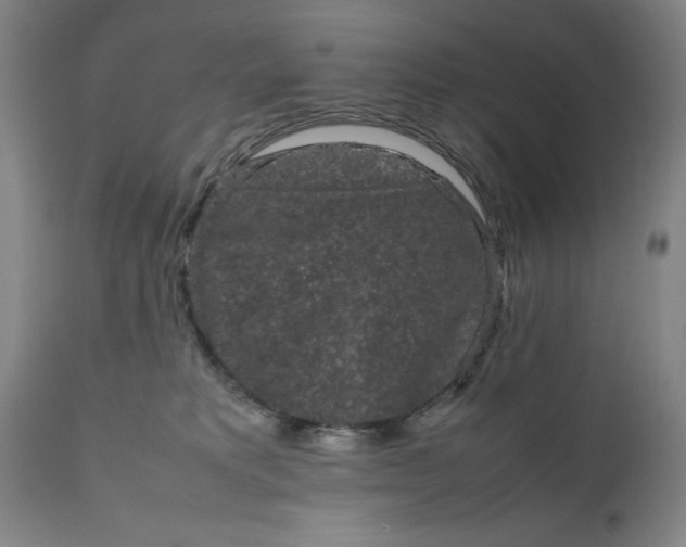 X0000111190229200907151357