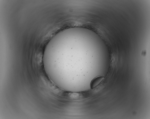 X0000111190230200907151357