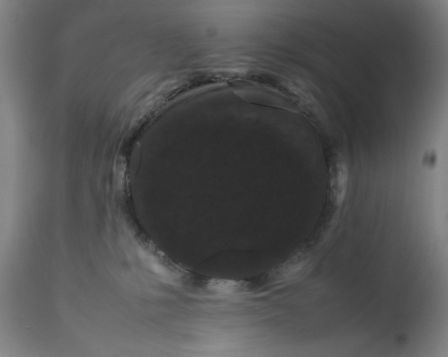 X0000111190231200907151357