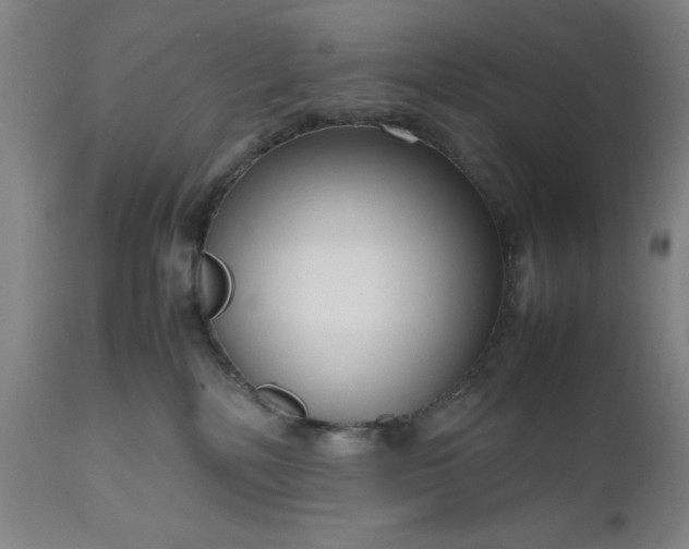 X0000111190232200907151357