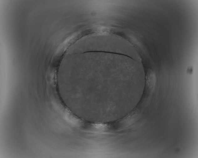 X0000111190233200907151357