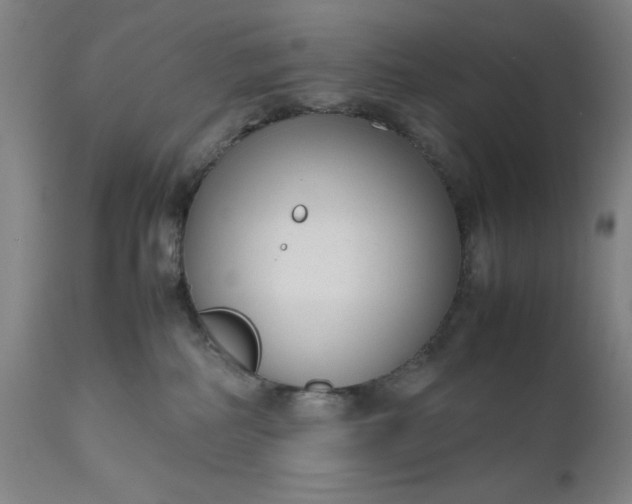 X0000111190234200907151357