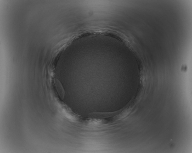 X0000111190235200907151357